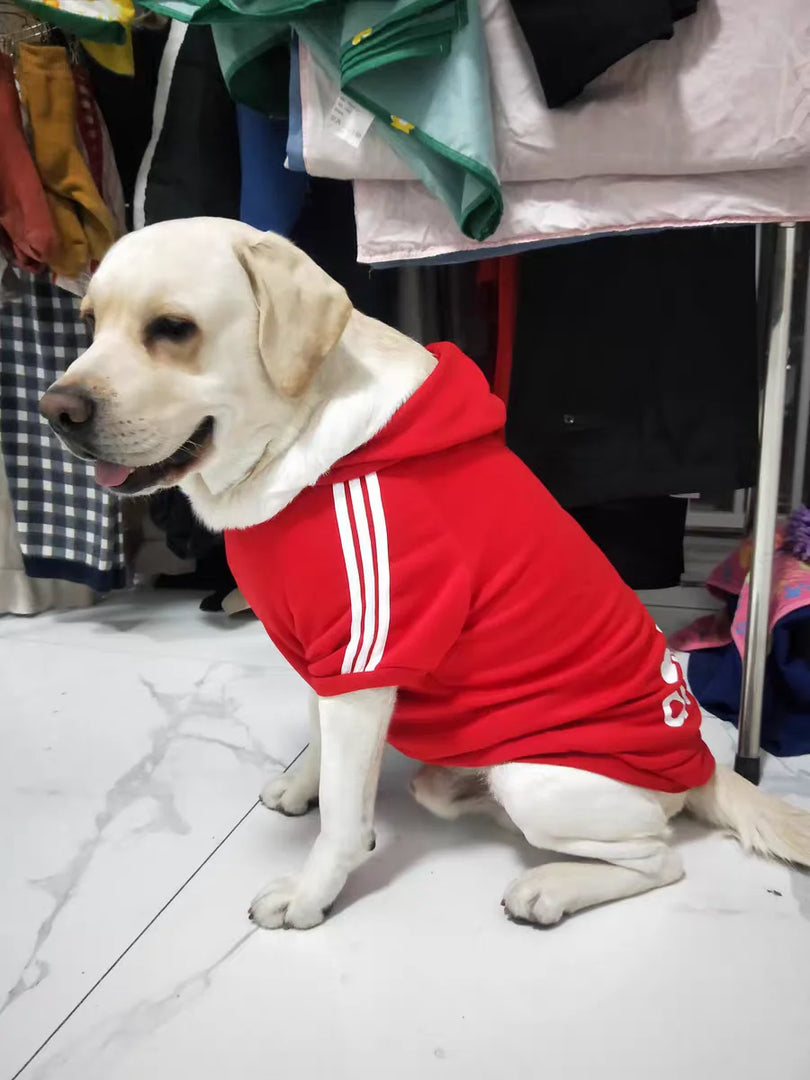 Moletom Pet com Capuz Adidog™ – Estiloso e Quentinho para Cães de Todos os Portes