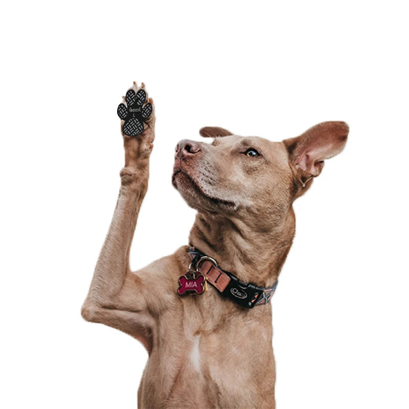 Protetor de Patas PetSafe™ – Antiderrapante e Respirável para Cães e Gatos