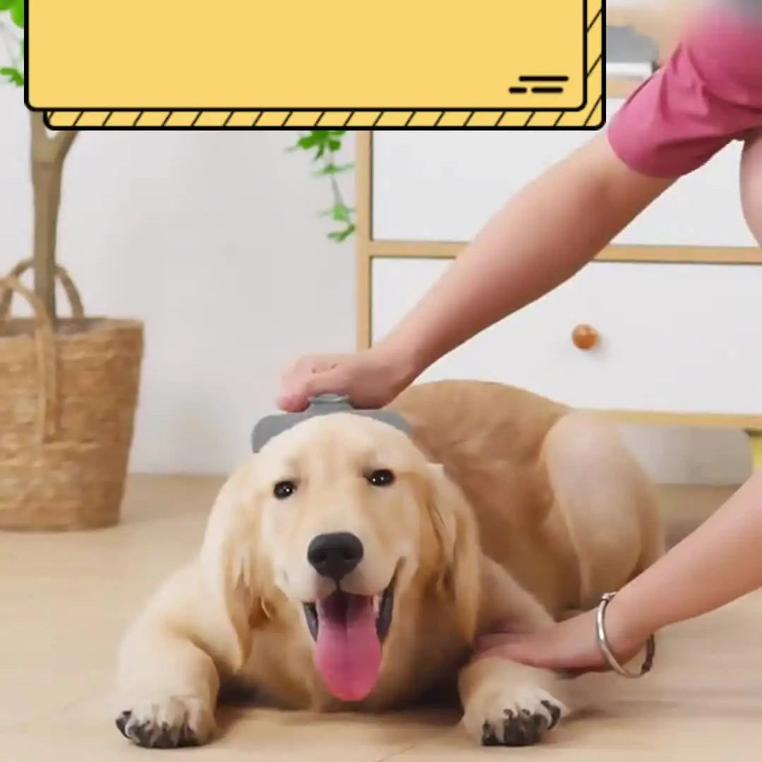 Pente Desembaraçador Pet ZooLume™ – Remove Nós e Excesso de Pelos em Cães e Gatos