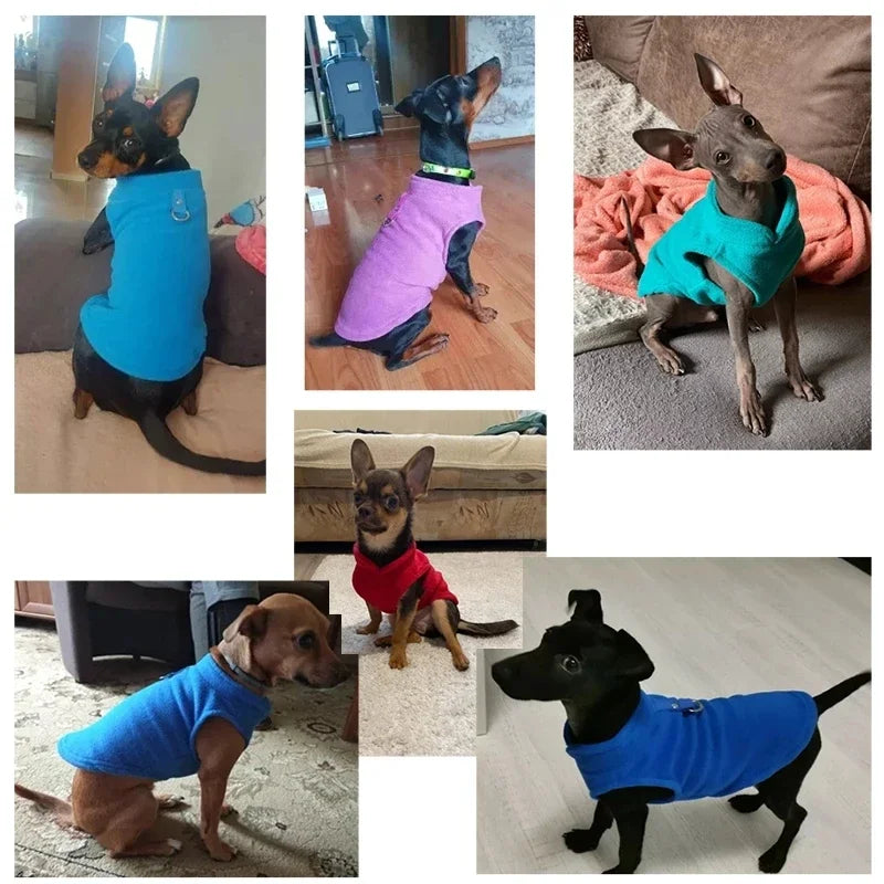 Colete Pet de Inverno ZooLume™ – Fleece Quentinho com D-Ring para Passeios Seguros