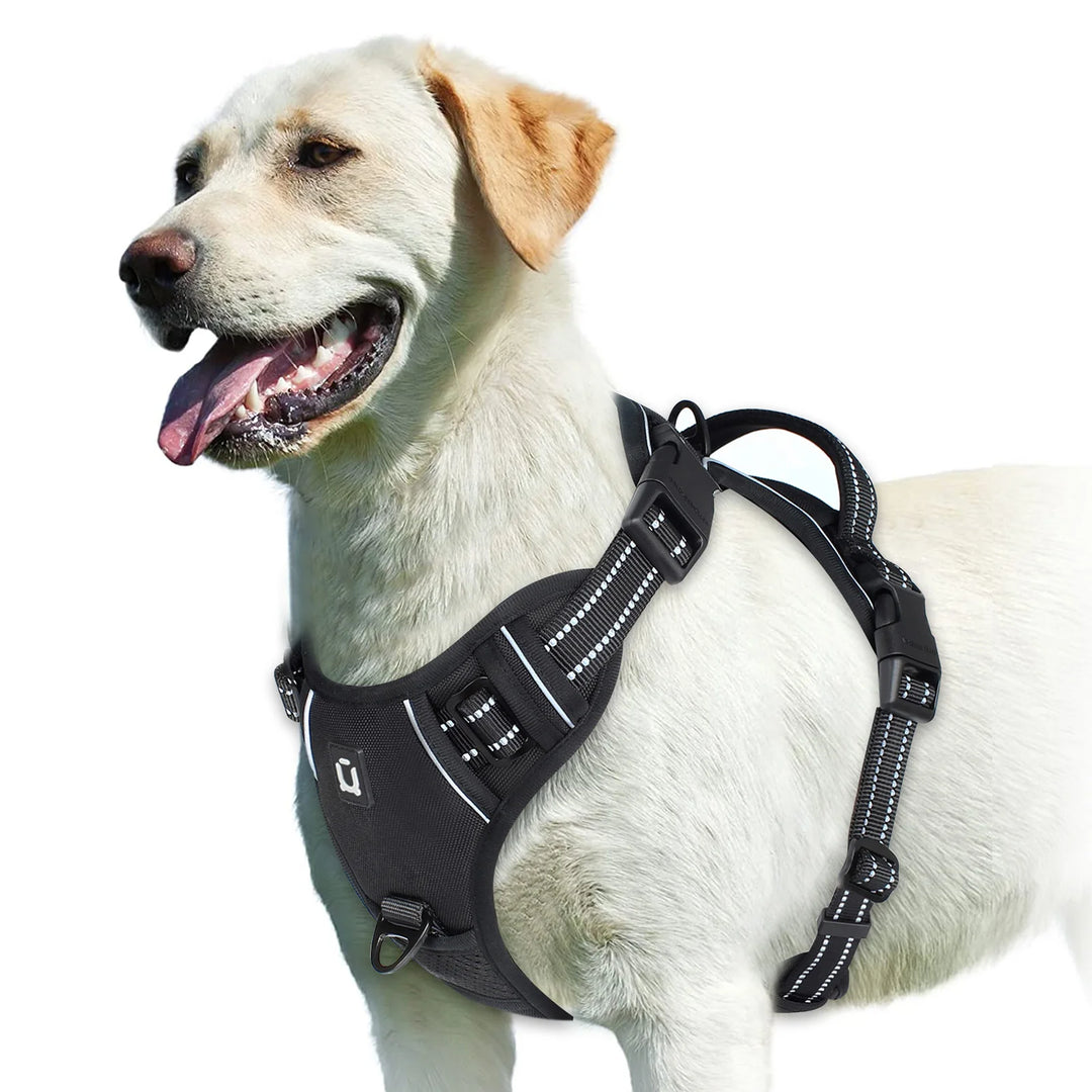 Colete Peitoral Pet ZooLume™ – Almofadado com Alça de Controle Fácil