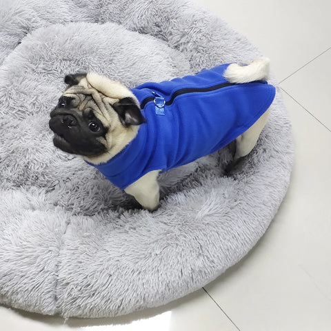 Jaqueta Pet de Inverno ZooLume™ – Colete de Lã Quentinho para Cães e Gatos