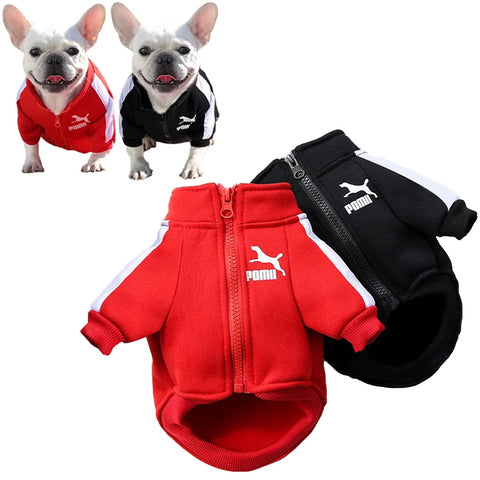 Jaqueta Varsity Pet ZooLume™ – Estilo Beisebol Quentinho para Cães Pequenos e Médios