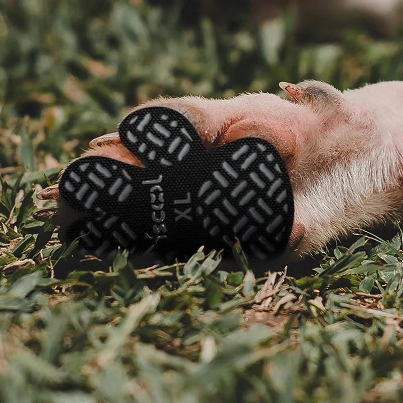 Protetor de Patas PetSafe™ – Antiderrapante e Respirável para Cães e Gatos