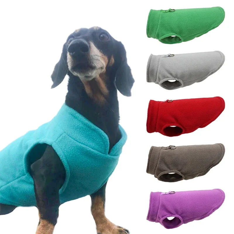 Colete Pet de Inverno ZooLume™ – Fleece Quentinho com D-Ring para Passeios Seguros
