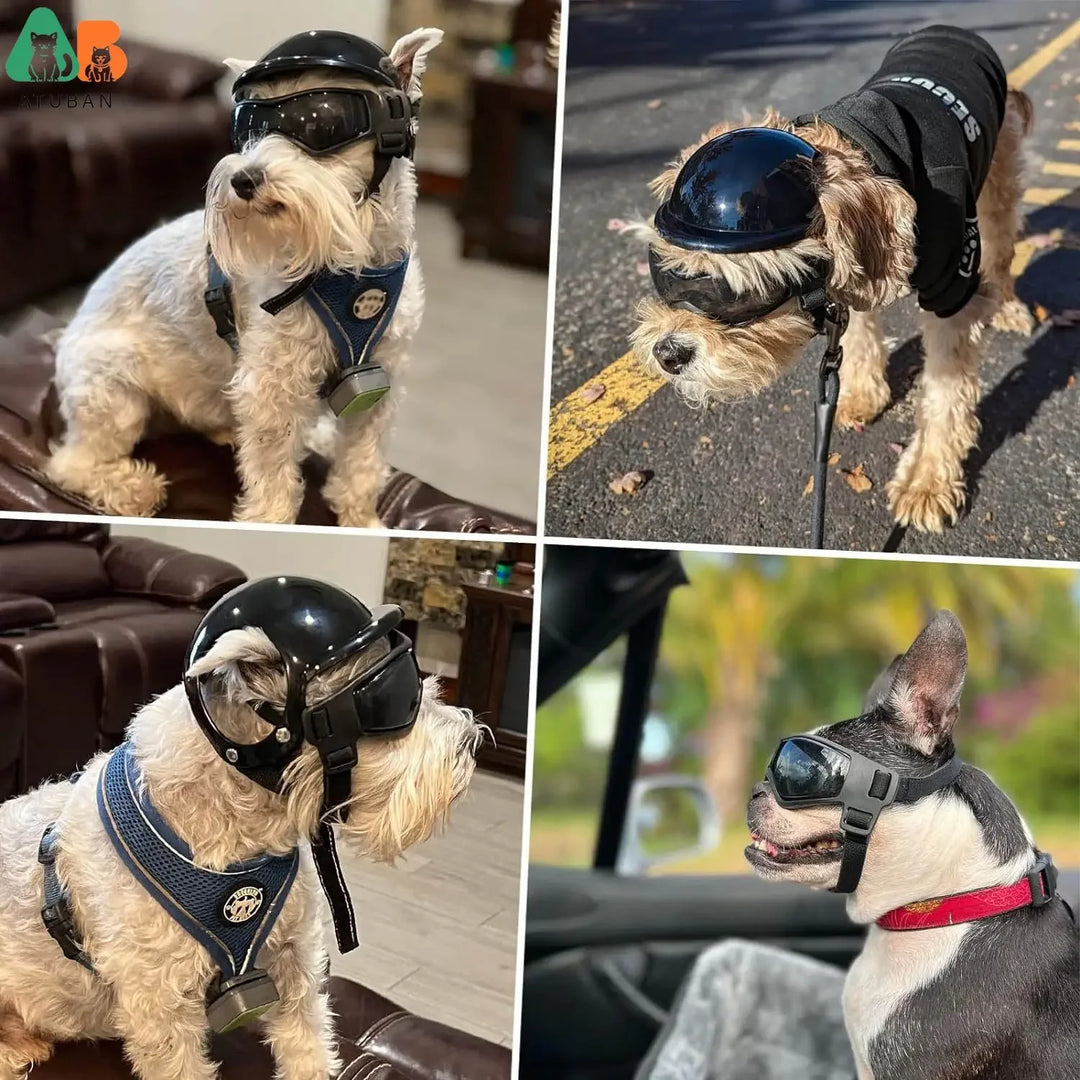 RidePet™ - Capacete com Óculos Pet ATUBAN™