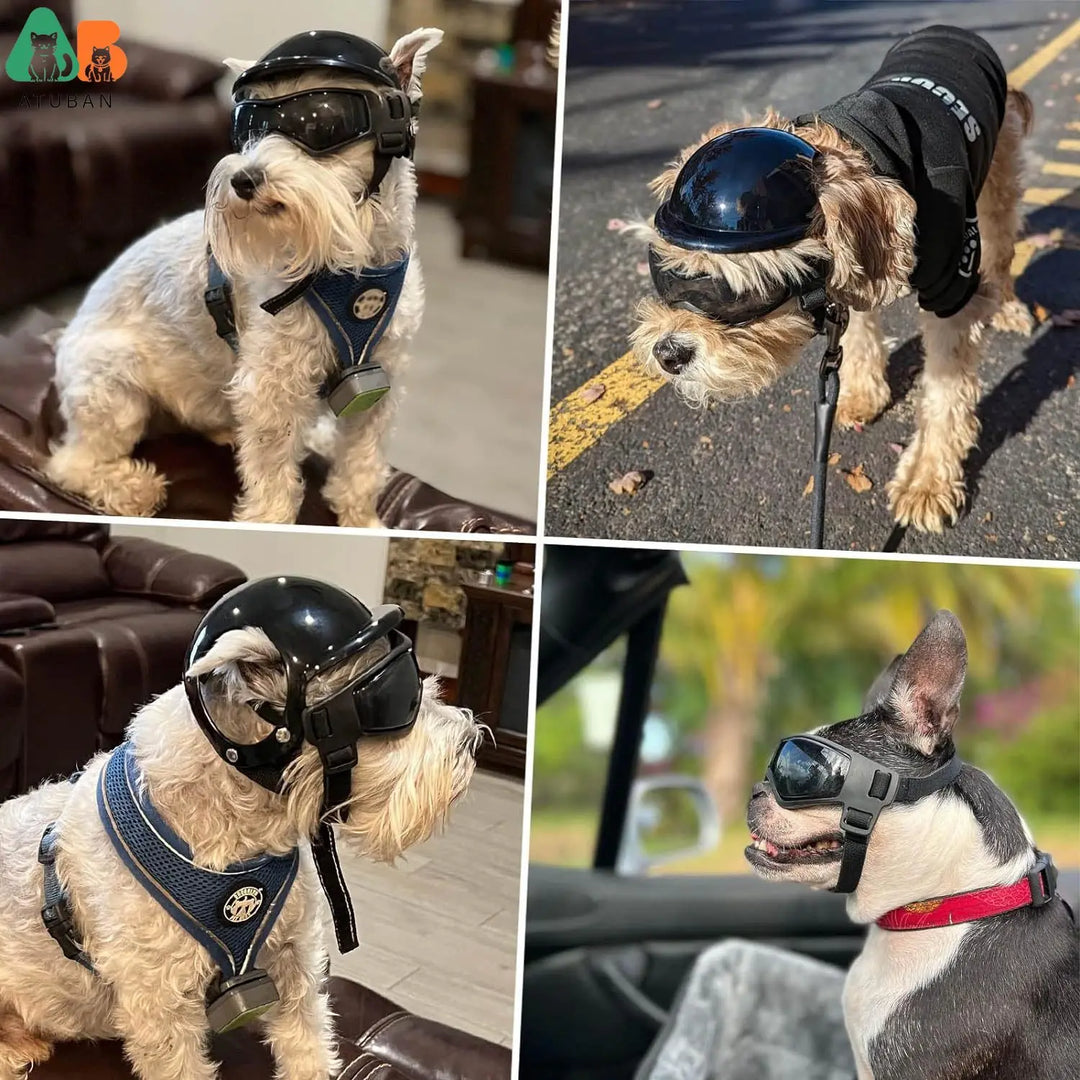 RidePet™ - Capacete com Óculos Pet ATUBAN™