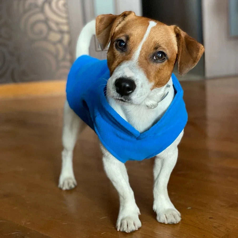 Colete Pet de Inverno ZooLume™ – Fleece Quentinho com D-Ring para Passeios Seguros